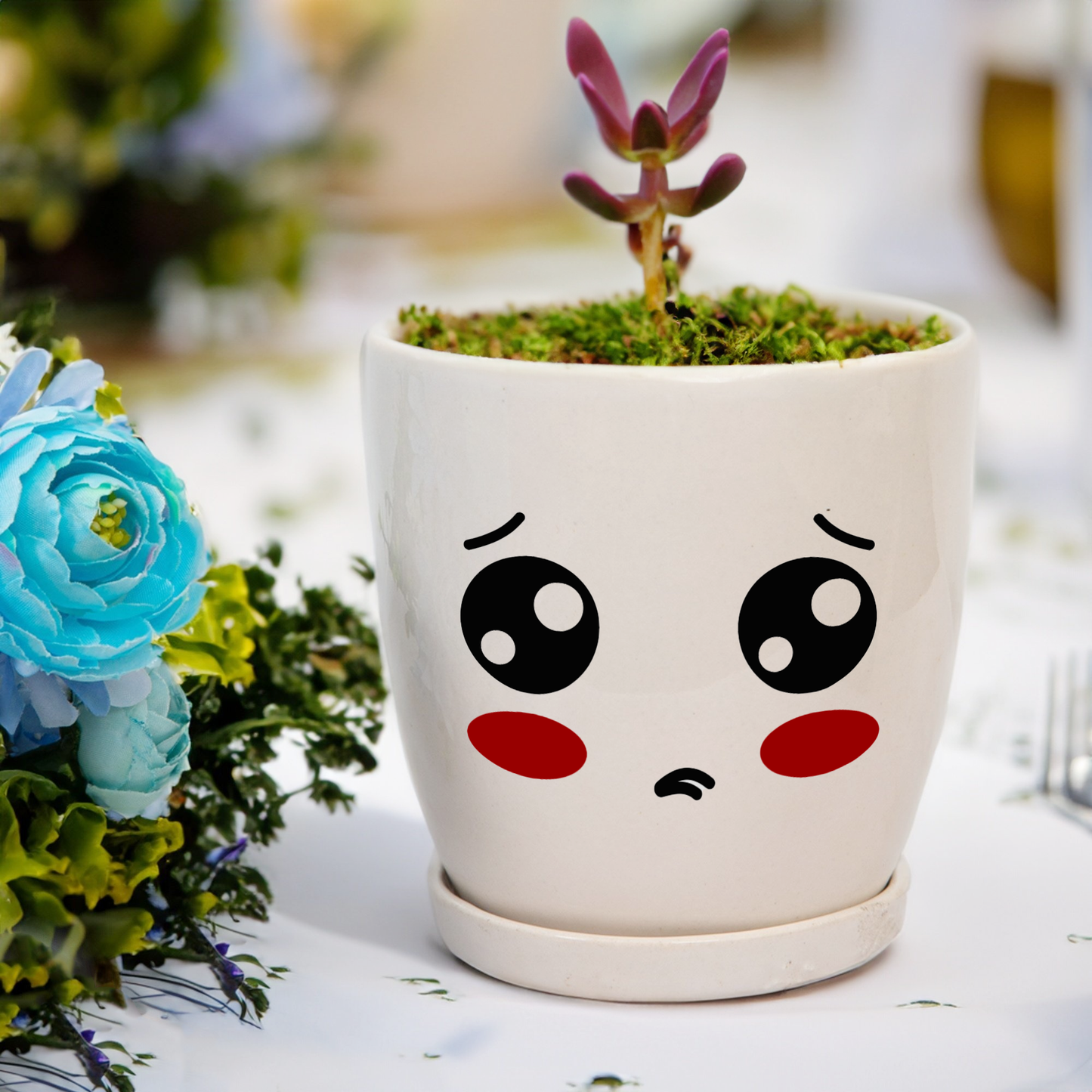 The Emotional Pot - Small Size