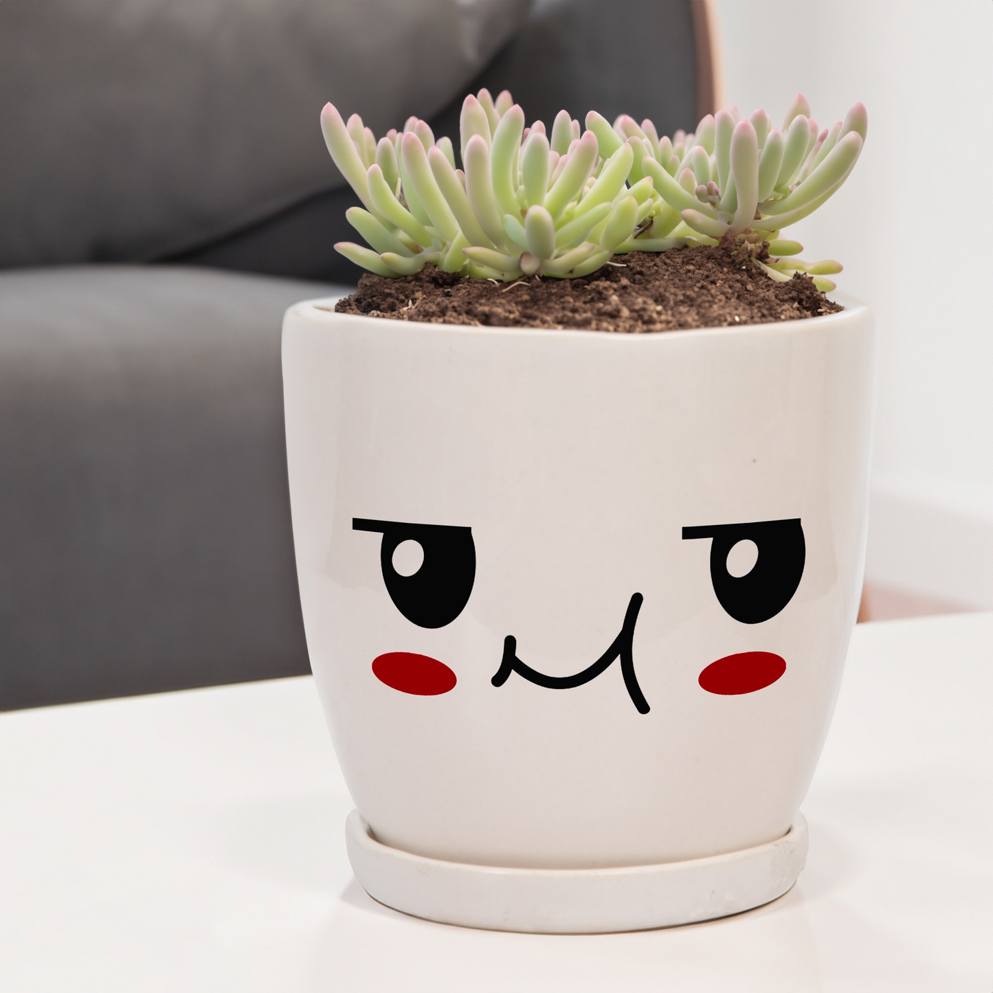 The Suspicious Pot - Small Size