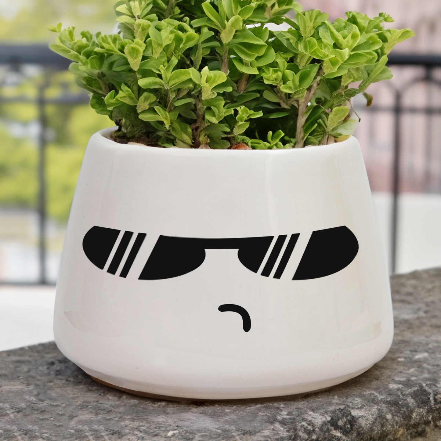 The Stylish Pot