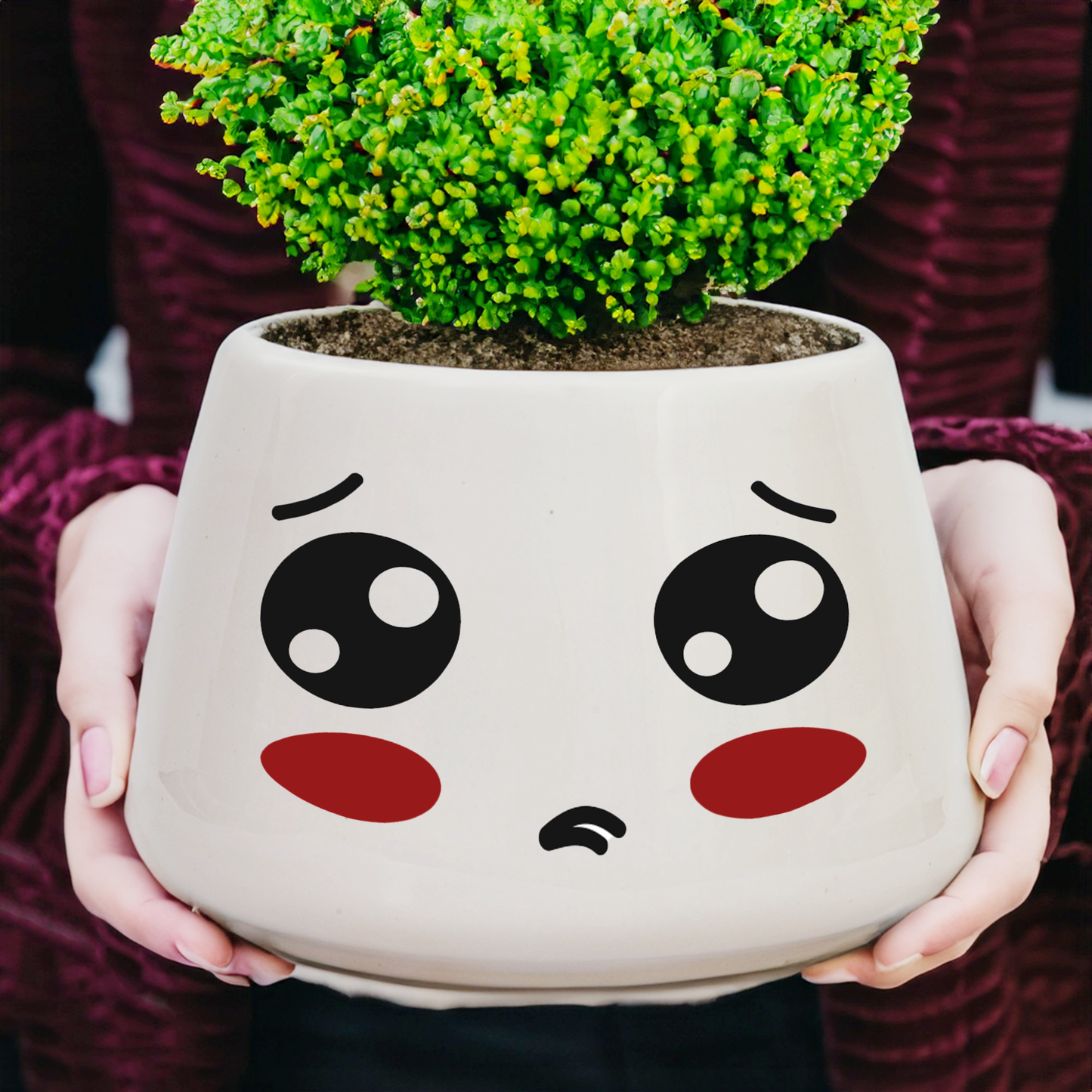 The Emotional Pot