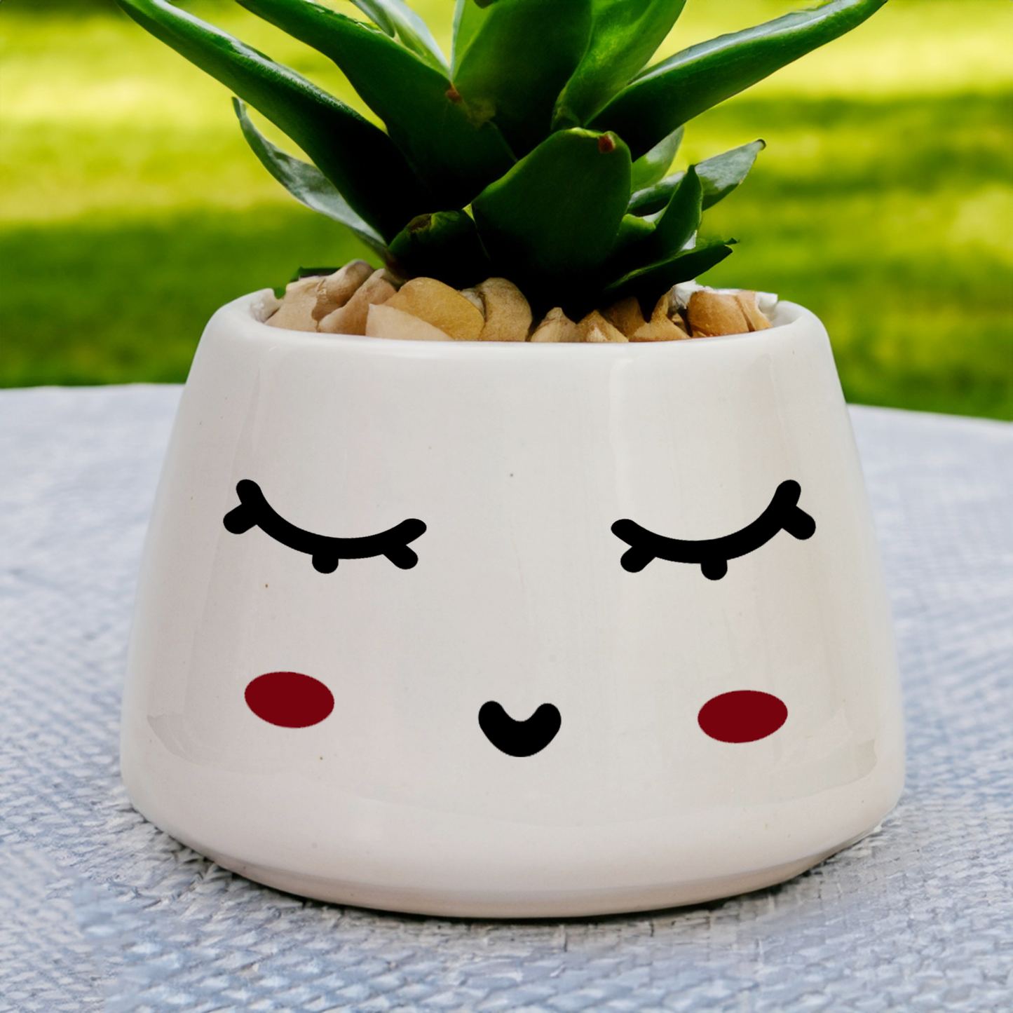 The Calm Pot