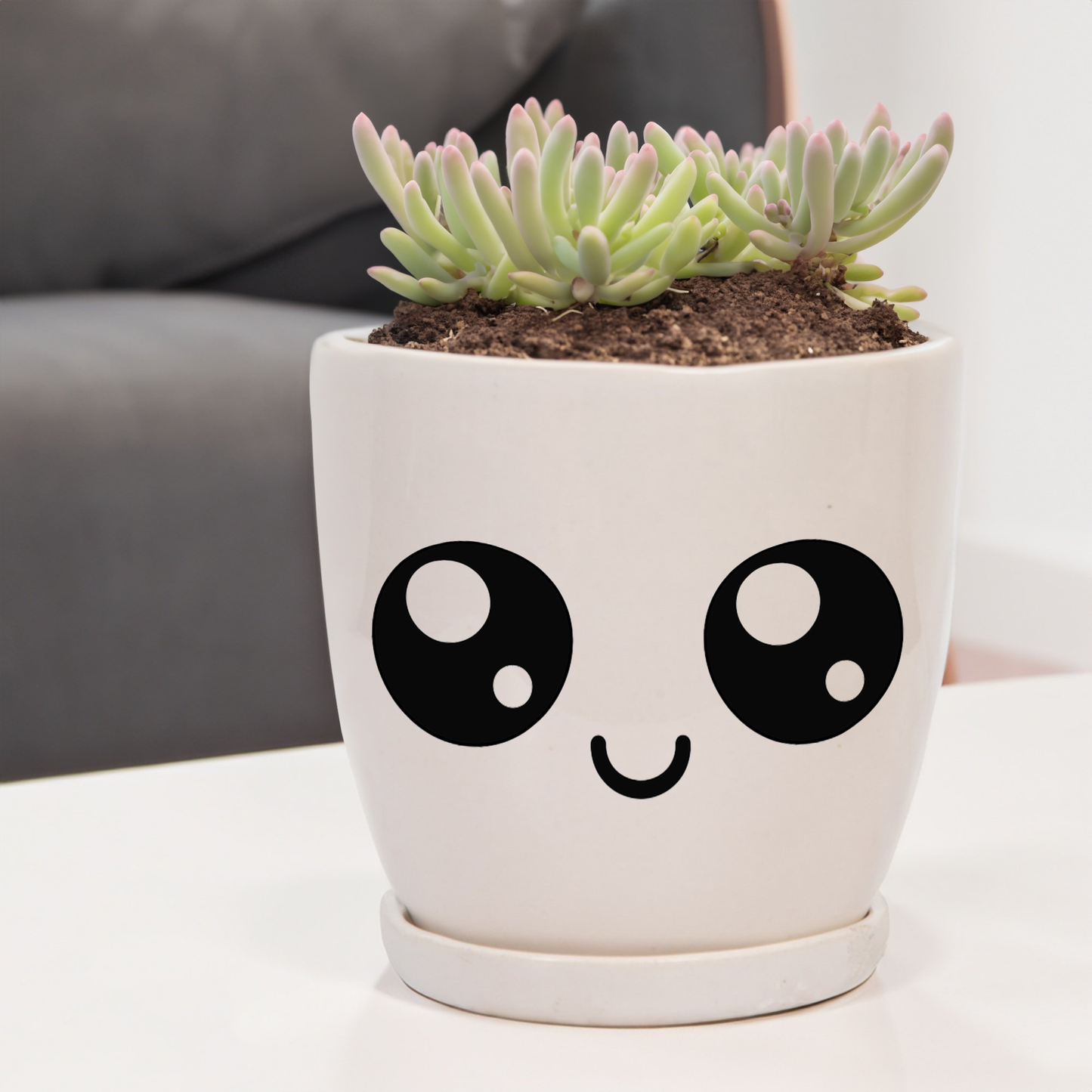 The Kawaii Pot - Small Size