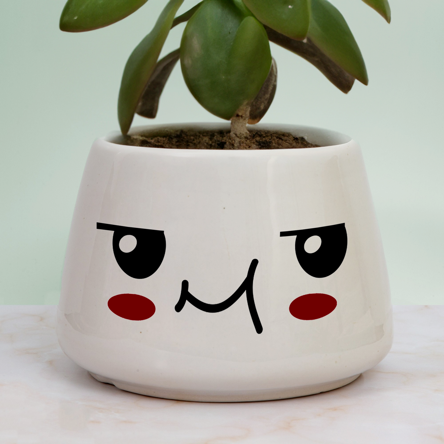 The Suspicious Pot