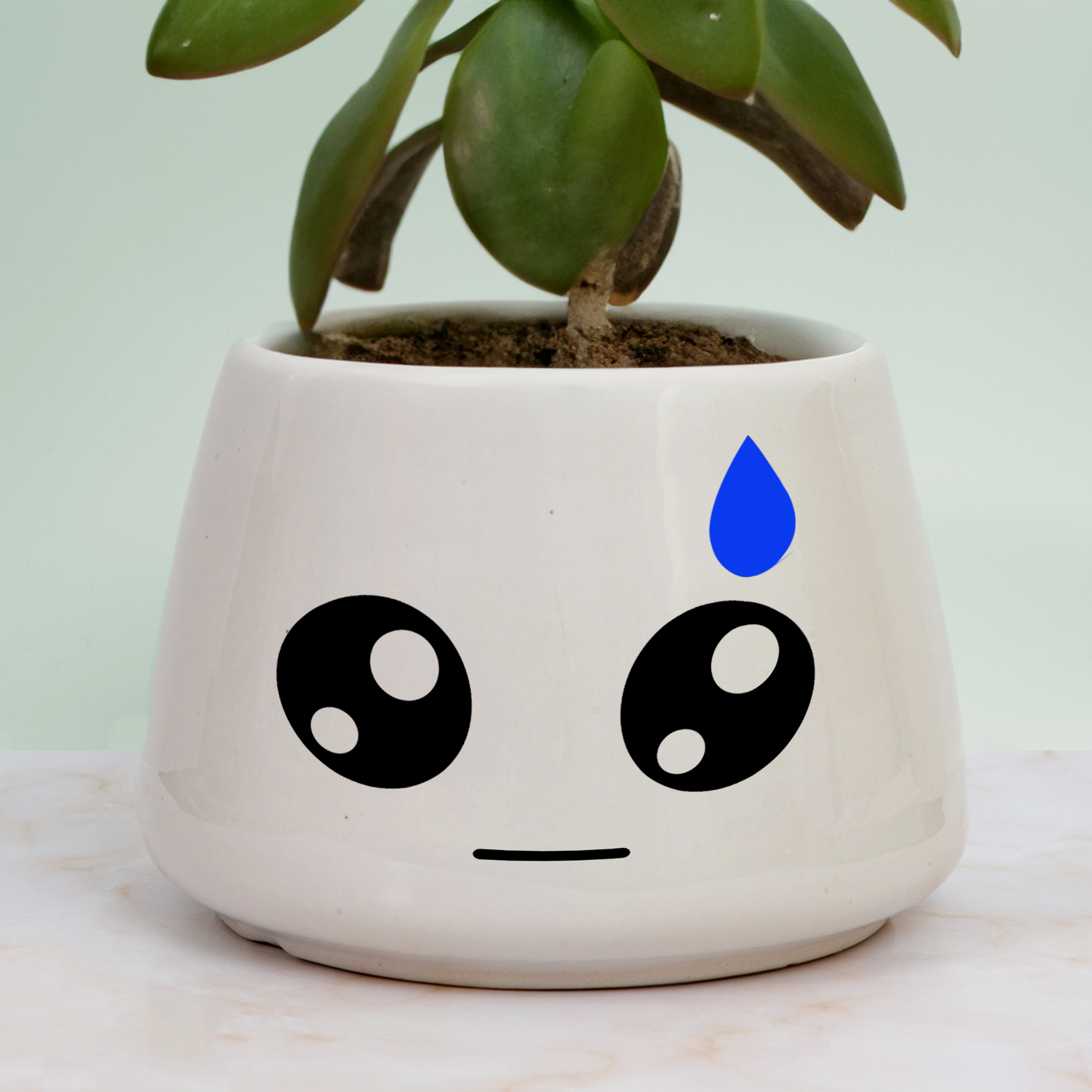 THE AWKWARD POT