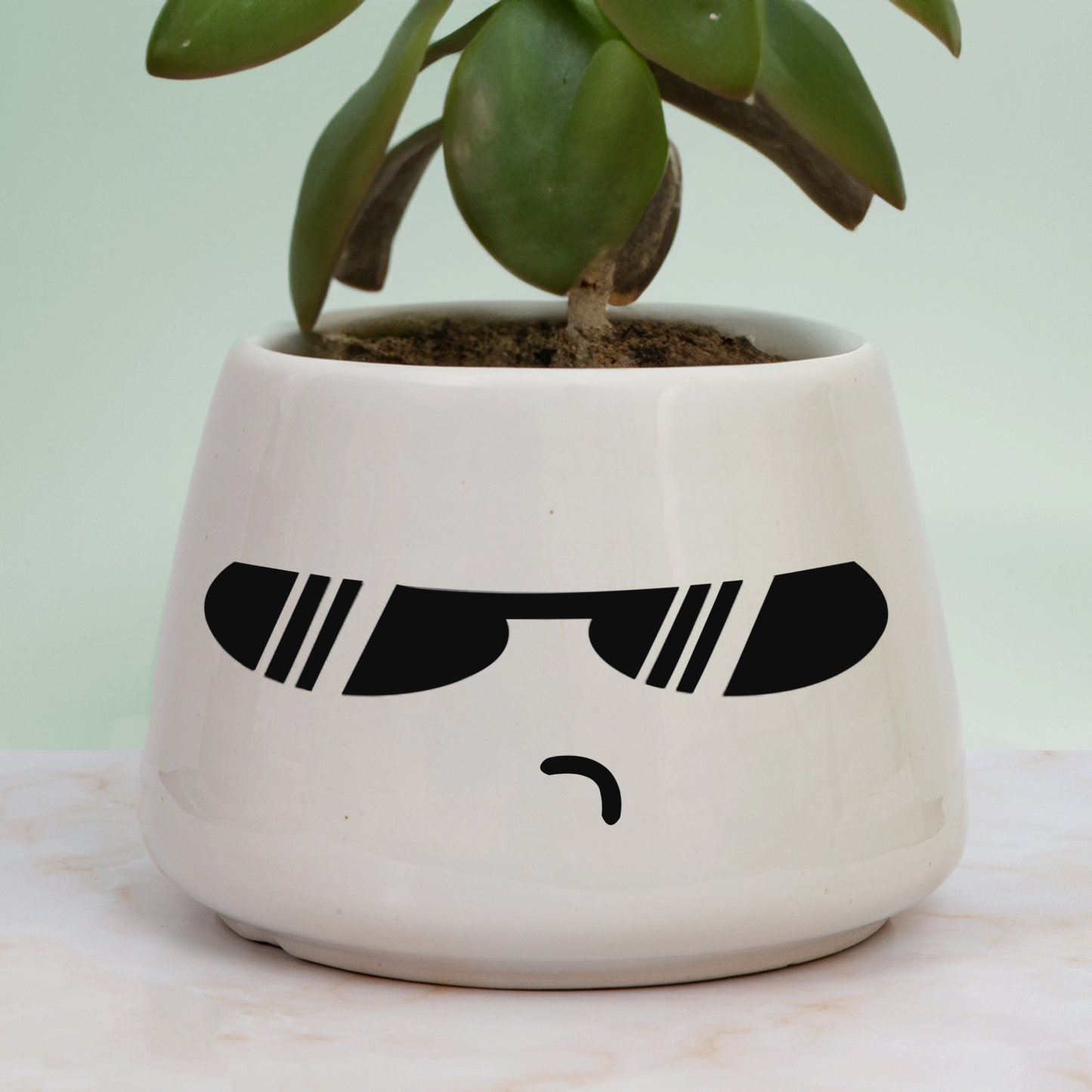 The Stylish Pot