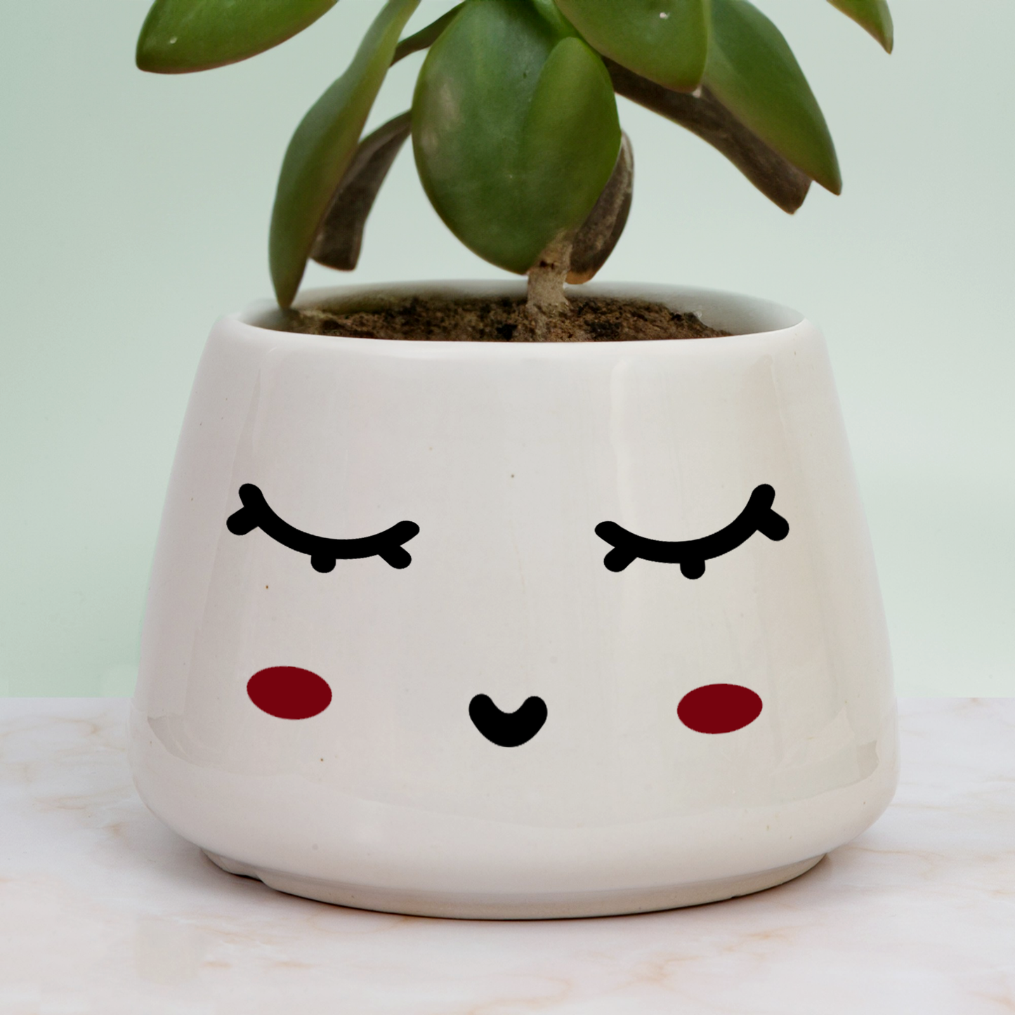 The Calm Pot