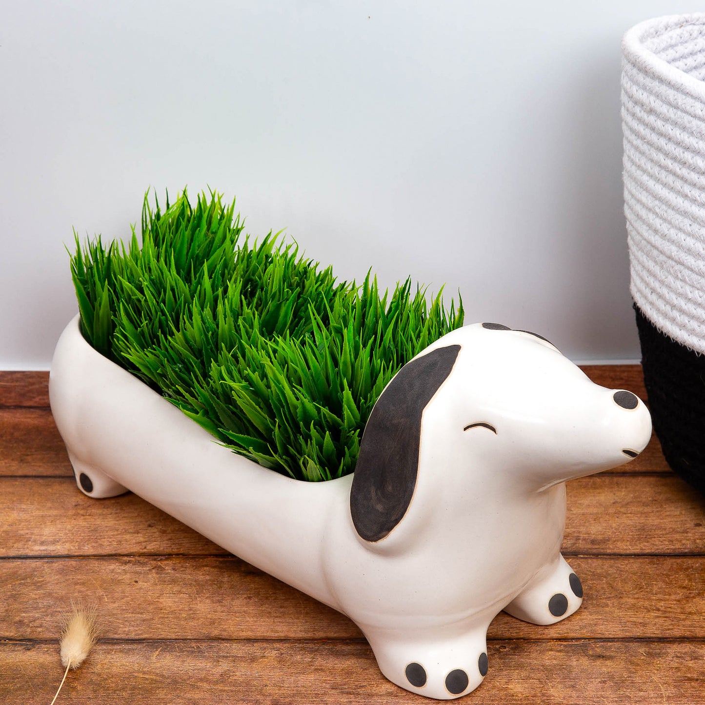 The Dawg Planter