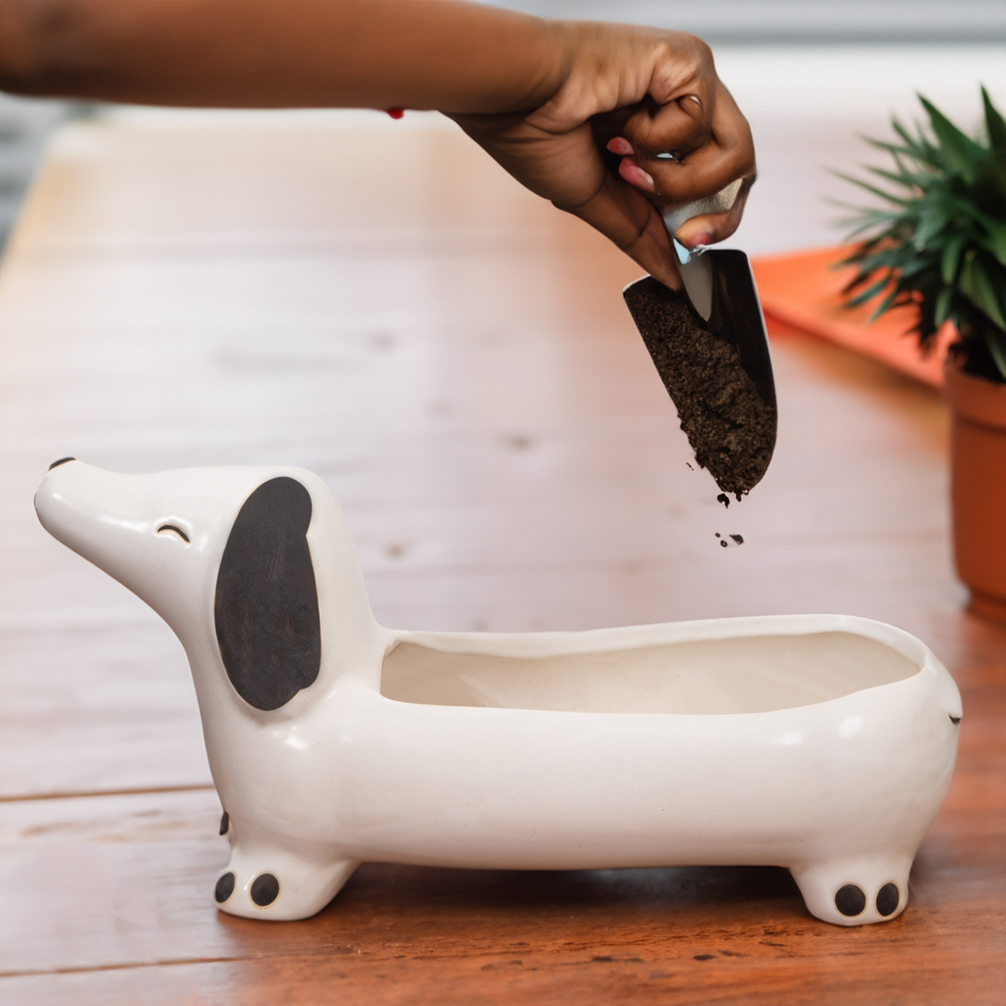The Dawg Planter