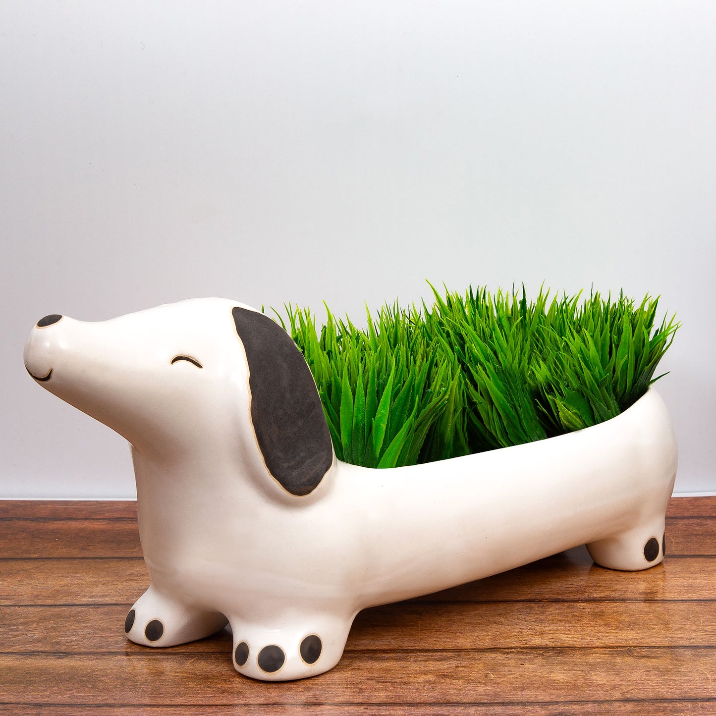 The Dawg Planter