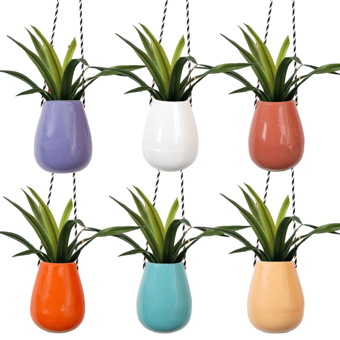 The 6 Egg Planters