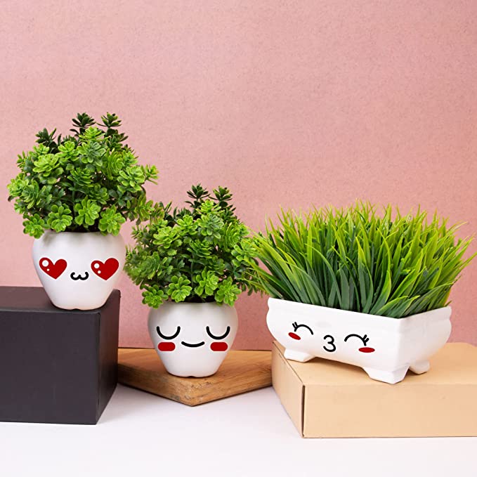 Cute Décor Plant - SET OF 3