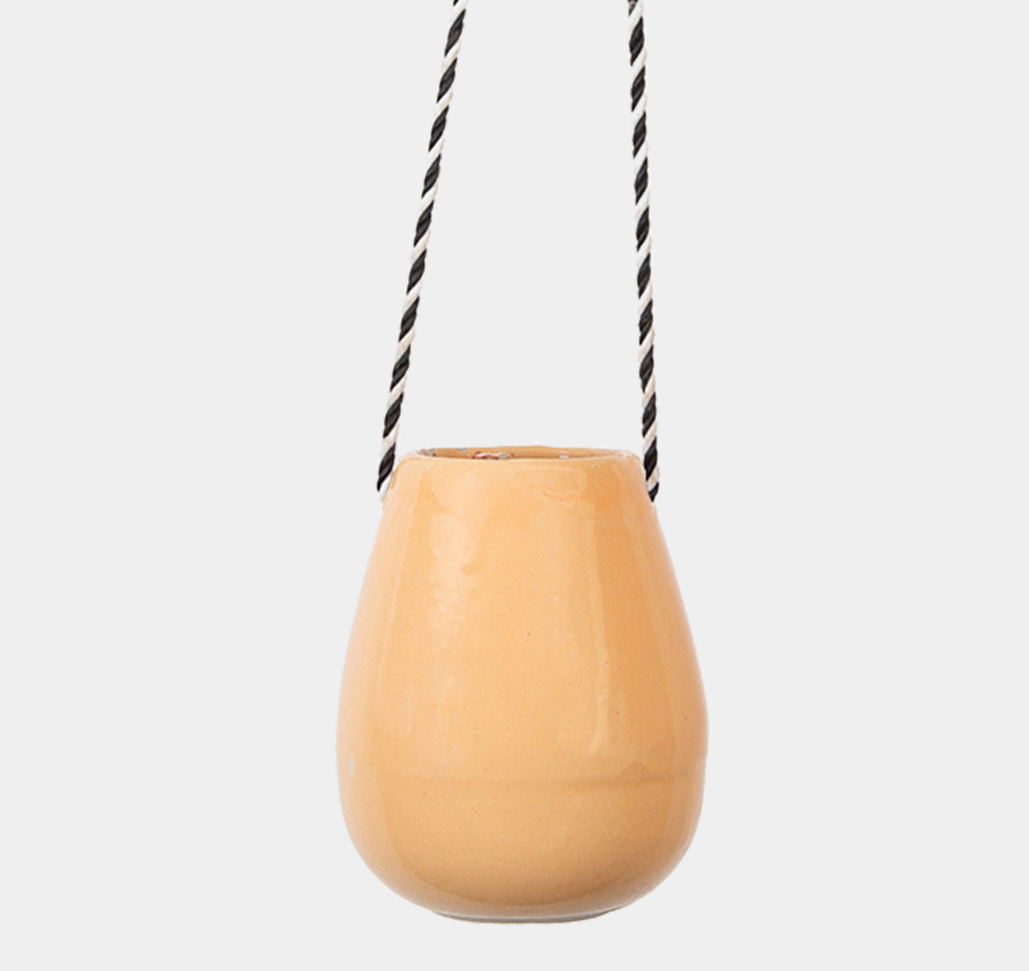 The 6 Egg Planters