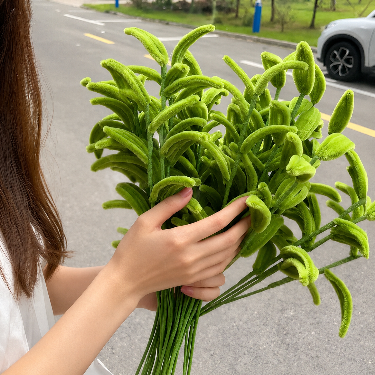 Fiddleheads of Growth