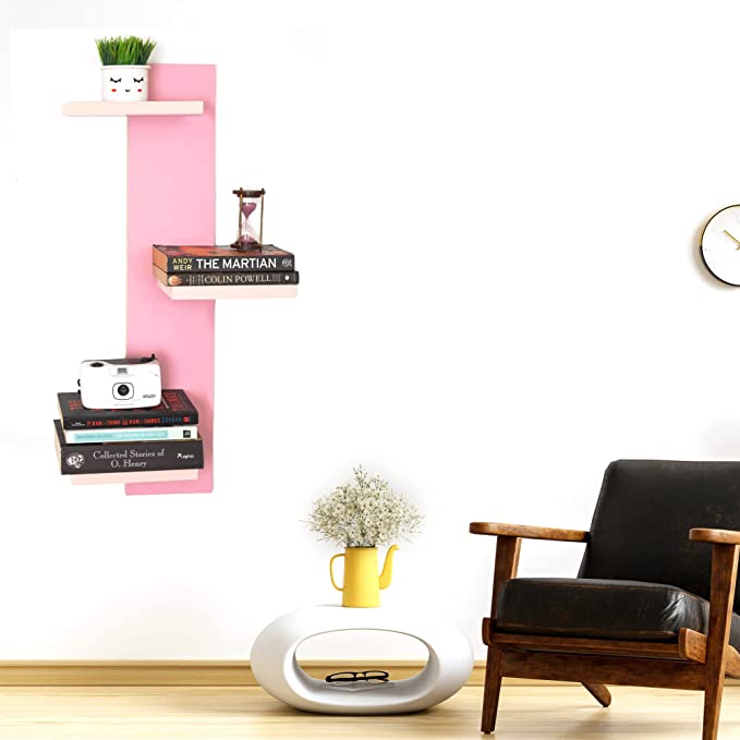 Modern Living room Wall Organizer for Books and Decor