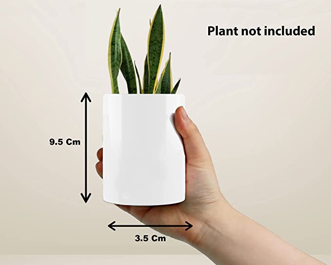 Cute Ceramic Planters For Home & Decor (1 pot, White)