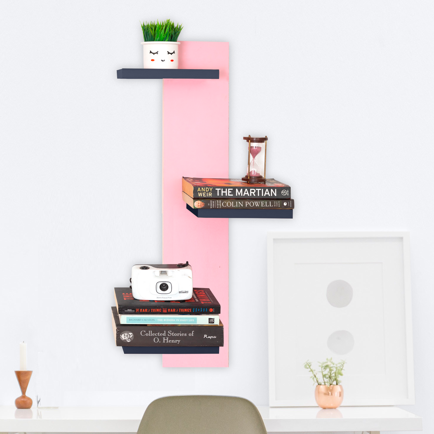 Modern Living room Wall Organizer for Books and Decor