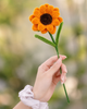 Pocket Sunshine