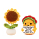 Sunflower Pot + Taco Combo