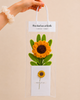 You are my Sunshine Bouquet (Single head)