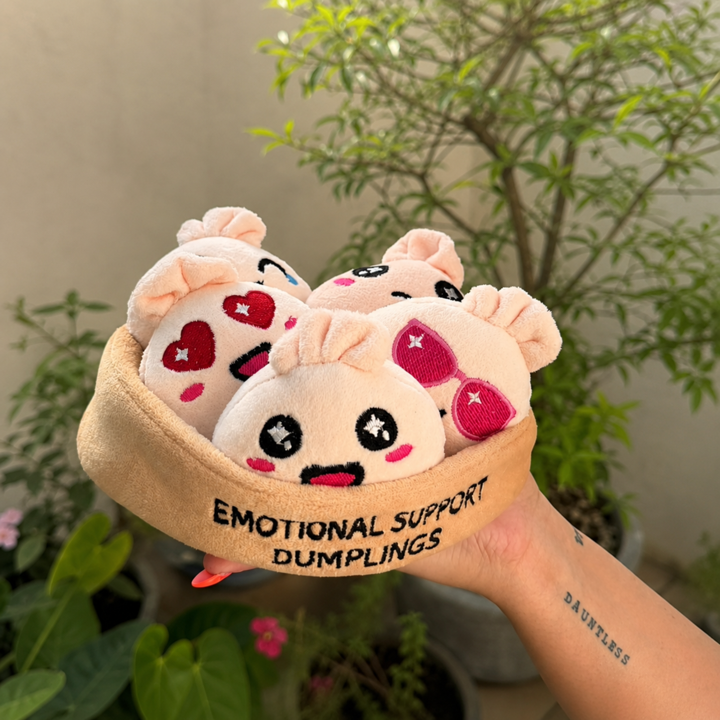 Emotional Support Dumplings