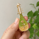 Green Rose Pipa
