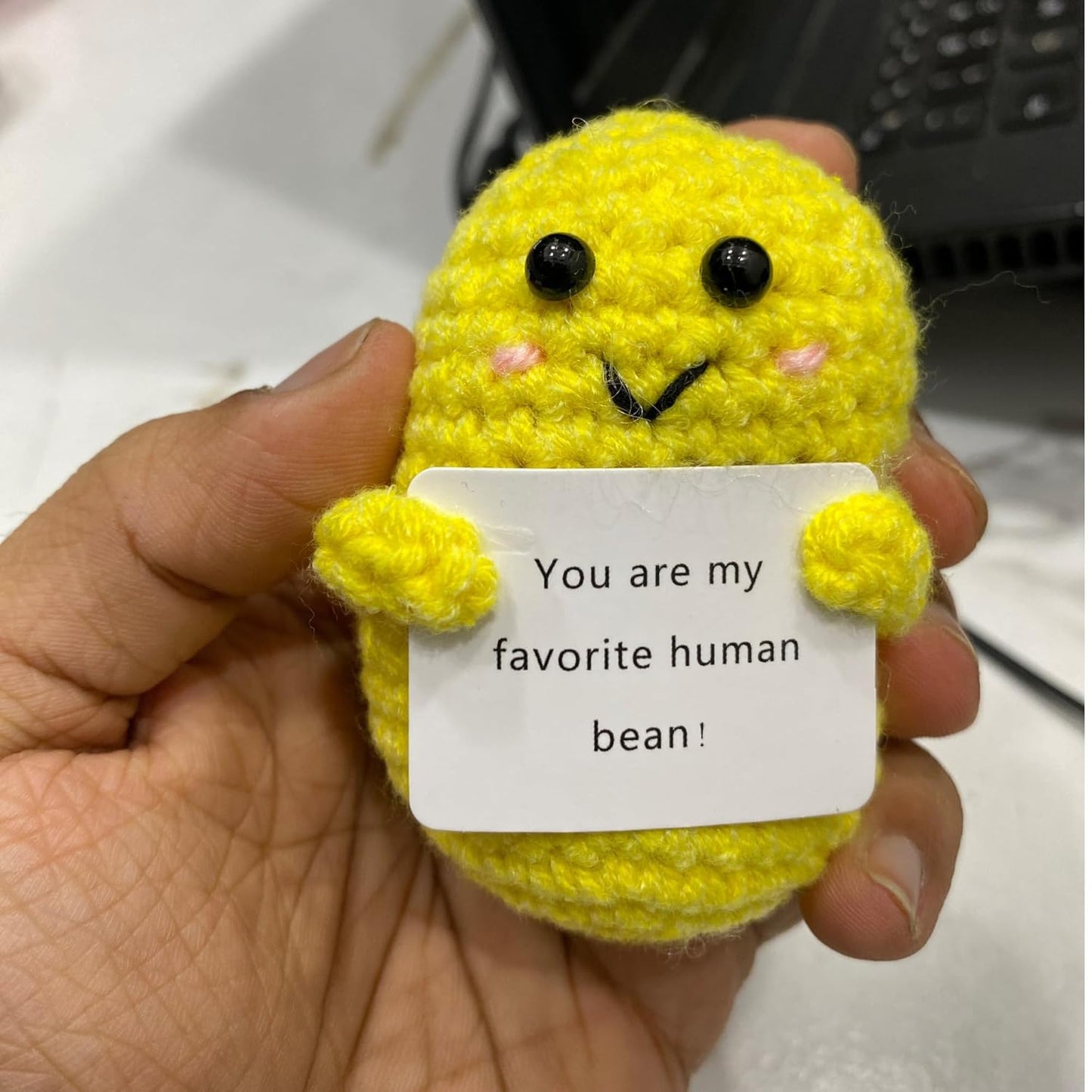 Emotional Support Bean