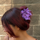 Dragon Purple Hair Clip