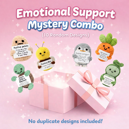Emotional Support Mystery Combo - 10 Pcs (VERY POPULAR)