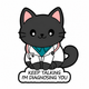 Dr. Black Cat