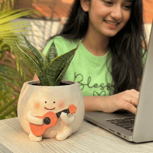 The Guitar Guy Planter (Plants not Included)
