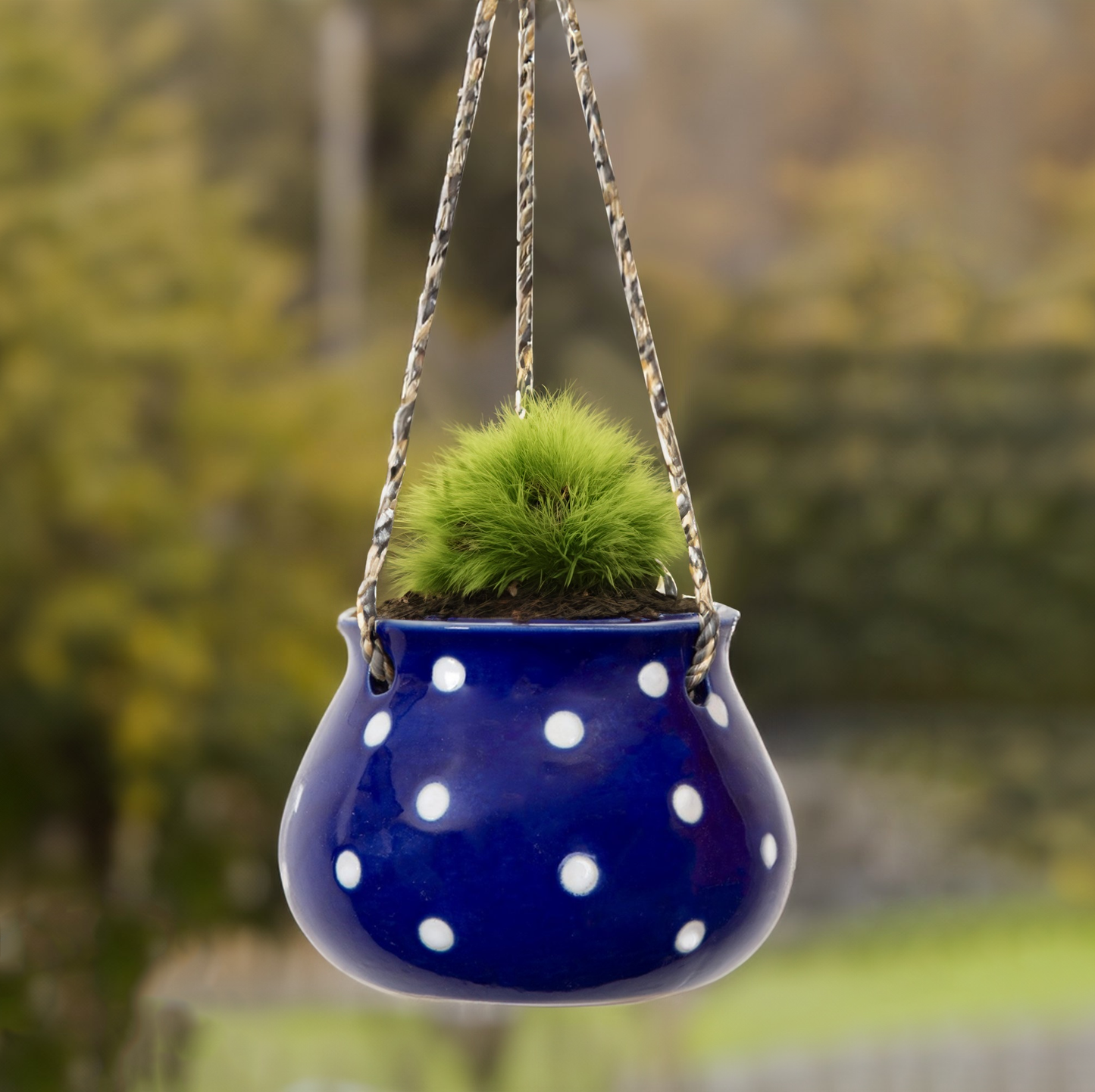 Polka Matki Planter